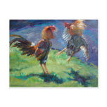 Cock Fight Post Cards