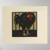 Cock - Square Animals Illustration