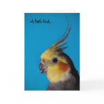 Cockatiel, A little bird... Card