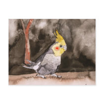 cockatiel bird painting postcards