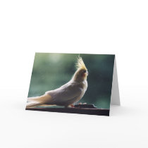 "Cockatiel" Bird Photography Greeting Card