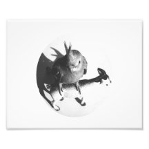 Cockatiel on goat bw circle photographic print