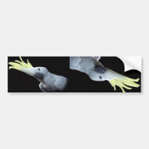 Cockatoo Parrot Bumper Stickers