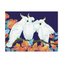 Cockatoos Post Card