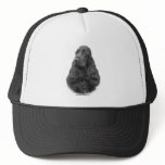 Cocker Spaniel 6P036-023 Mesh Hat