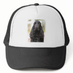 Cocker Spaniel 9P014D-019 Mesh Hats