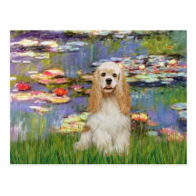 Cocker Spaniel (buff 1) - Lilies 2 Postcard