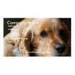 Cocker Spaniel Business Card business cards