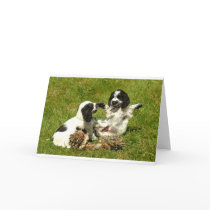 Cocker Spaniel Fun Greeting Card