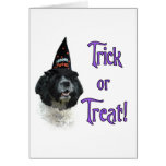 Cocker Spaniel (parti) Trick Cards