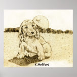 Cocker Spaniel Poster
