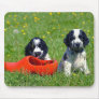 Cocker Spaniel Puppies Mousepad
