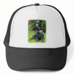 Cocker Spaniel puppy 9W017D-014 Hats