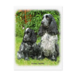 Cocker Spaniel & puppy 9W017D-068 Post Card