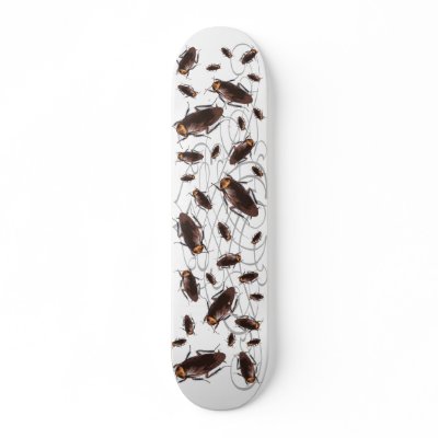 Cockroach Skateboard by SkateCrazy