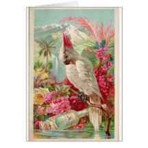 Cocktails?  Vintage Bird and Boose Poster Art Card