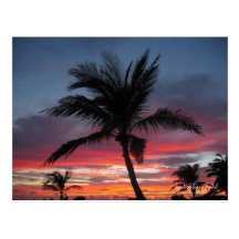 Coco, by Guilian Buhl Postcards