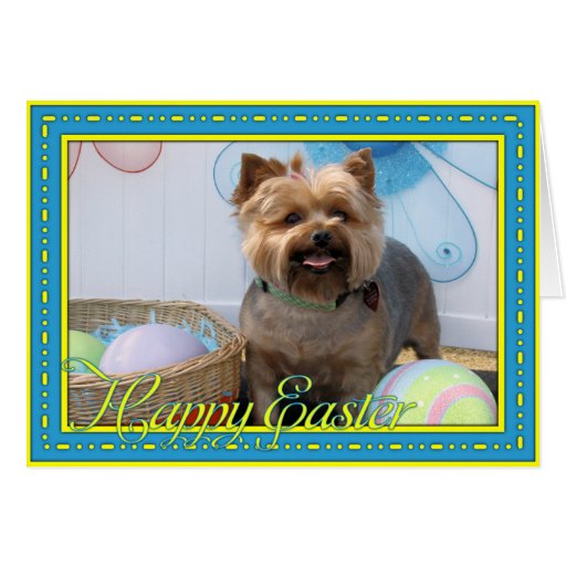 Coco Chanel - Yorkie -4 Greeting Card