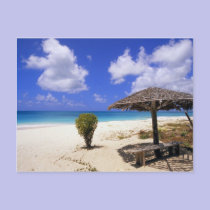 Coco Point Beach, Barbuda, Antigua postcards