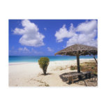 Coco Point Beach, Barbuda, Antigua Post Card