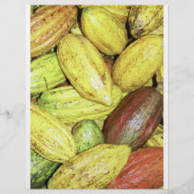 Cocoa pods flyer design