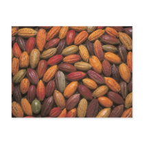 Cocoa pods post card