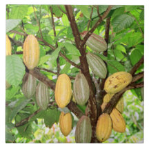Cocoa tree ceramic tile