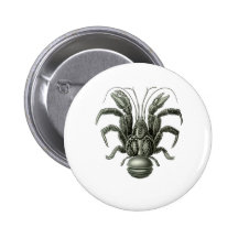 Coconut Crab Buttons