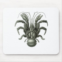 Coconut Crab Mousepads
