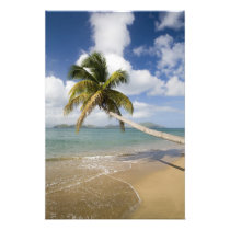 Coconut Grove Beach at Cades Bay, with St.