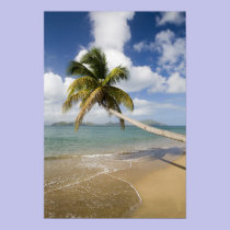 Coconut Grove Beach at Cades Bay, with St. posters