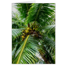 Coconut Palm Card