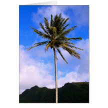 Coconut Palm Cards