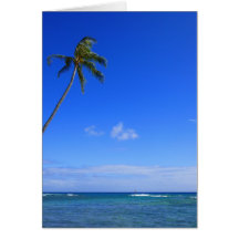 Coconut Palm Greeting Card