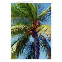 Coconut Palm Greeting Card