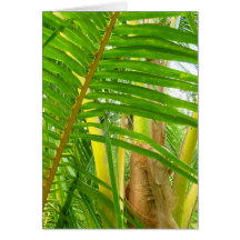 Coconut Palm Greeting Cards