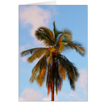Coconut Palm Greeting Cards