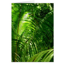 Coconut Palm Greeting Cards