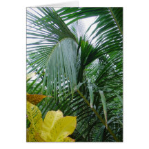 Coconut Palm Greeting Cards