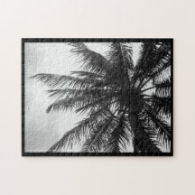Coconut Palm Puzzles