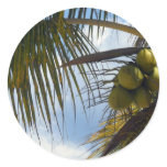 Coconut Palm Round Stickers