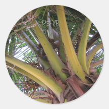 Coconut Palm Tree RSVP Wedding Seals Sticker