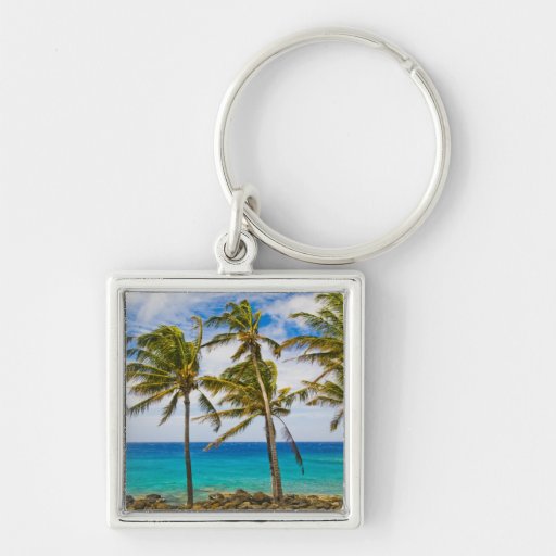 Coconut palm trees (Cocos nucifera) swaying in Key Chains