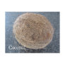 Coconut Post Cards