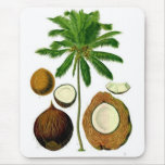 Coconut Tree Botanical Illustration Mouse Pads