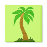 Coconut tree magnet