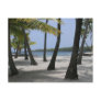 Coconut Trees at Place of Refuge, Hawaii: Postcard