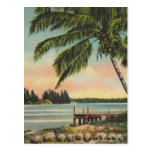 Cocotiers vintages cartes postales
