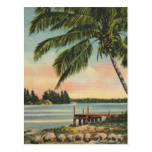 Cocotiers vintages cartes postales