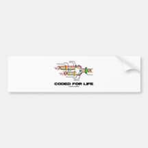 Coded For Life (DNA Replication) Bumper Stickers